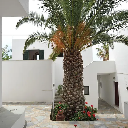 Rallis Naousa (Paros)
