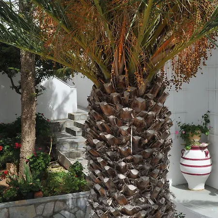 Rallis Aparthotel 3*